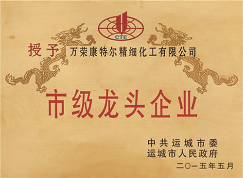 市級(jí)龍頭企業(yè)