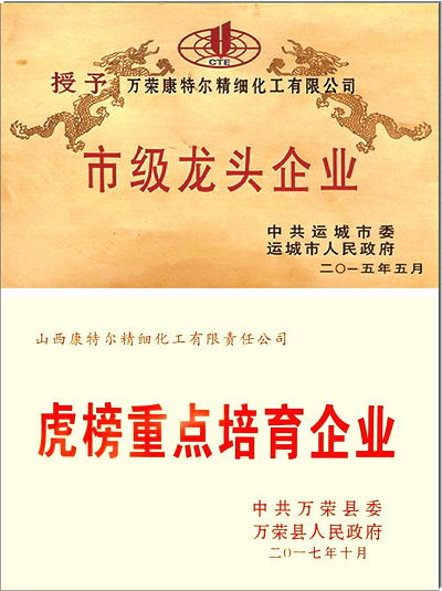 市級(jí)龍頭企業(yè)認(rèn)定證書